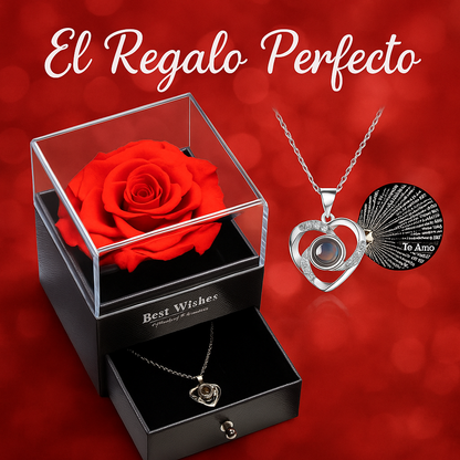 Regalo romántico: rosa eterna + collar con dije ‘Te amo’ 100 idiomas